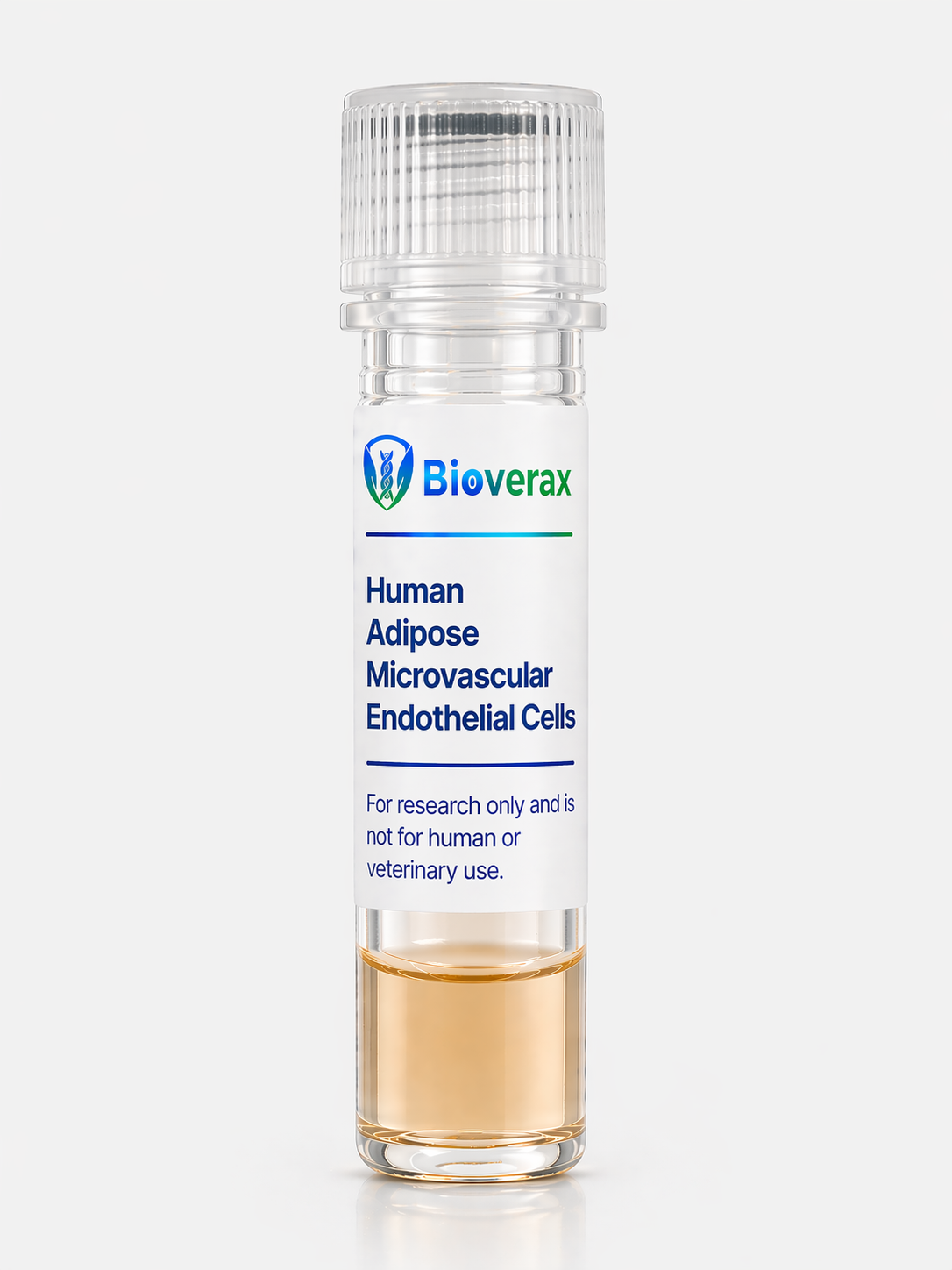 Human Adipose Microvascular Endothelial Cells