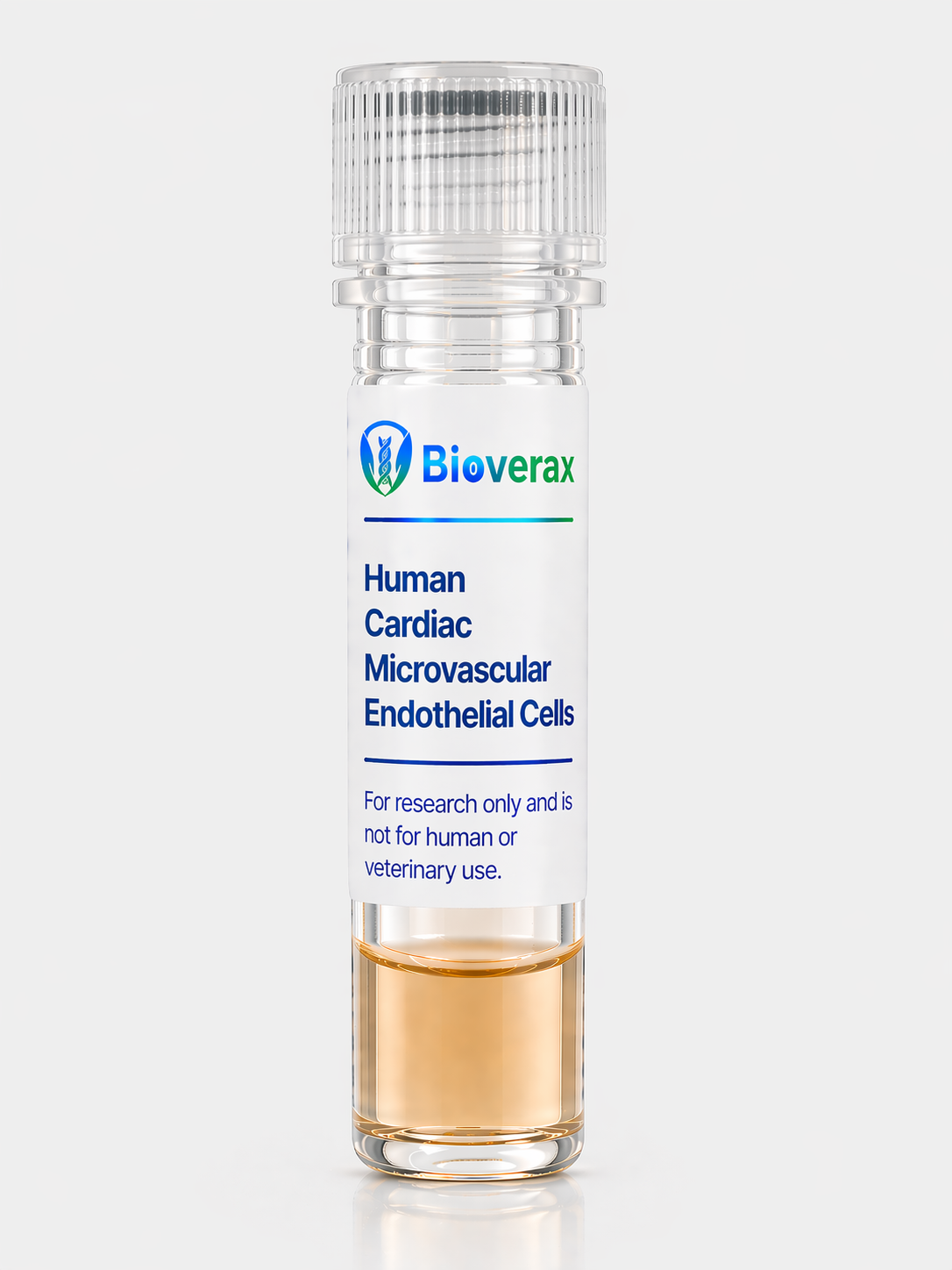 Human Cardiac Microvascular Endothelial Cells