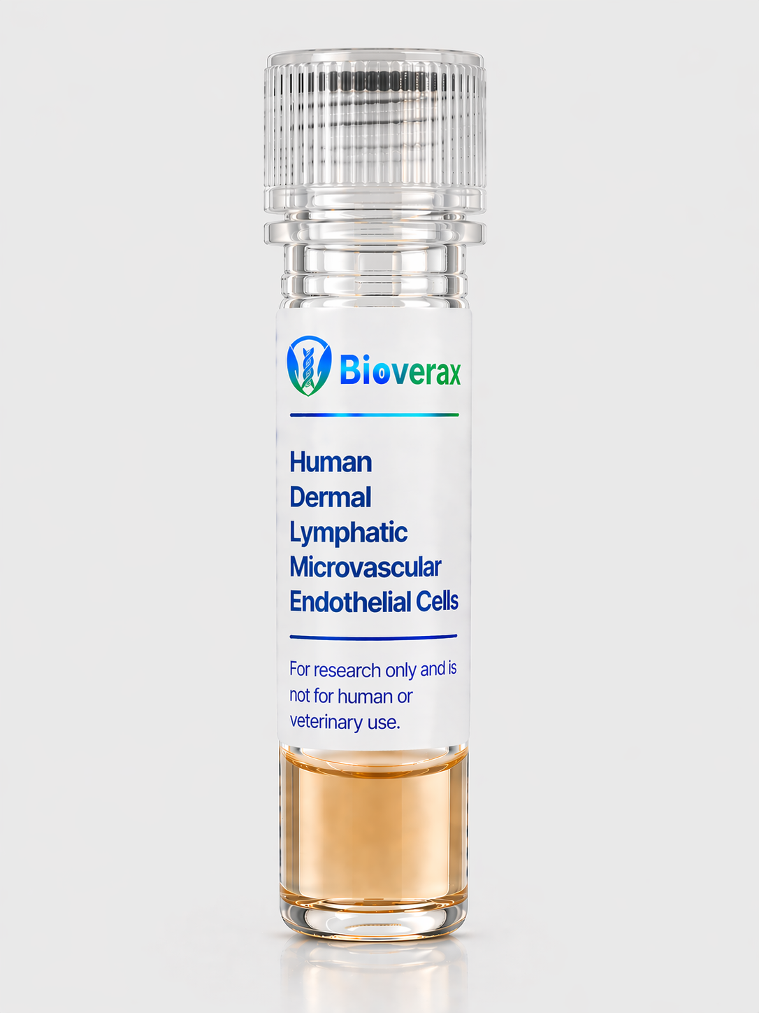 Human Dermal Lymphatic Microvascular Endothelial Cells