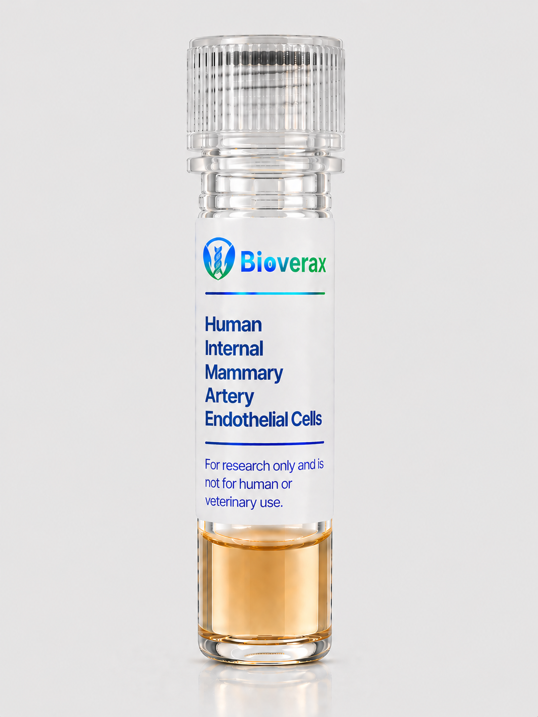 Human Internal Mammary Artery Endothelial Cells