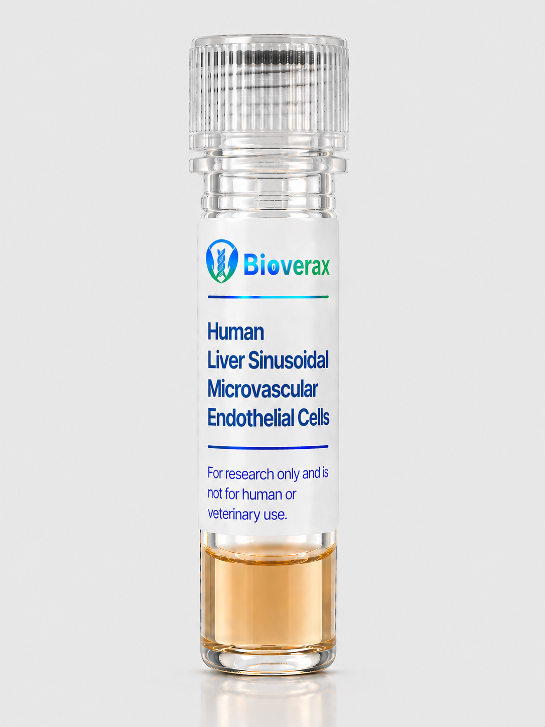Human Liver Sinusoidal Microvascular Endothelial Cells