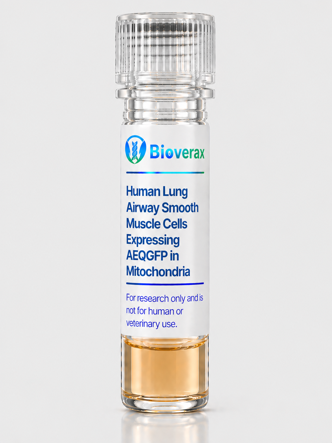 Human Lung Airway Smooth Muscle Cells Expressing AEQGFP in Mitochondria