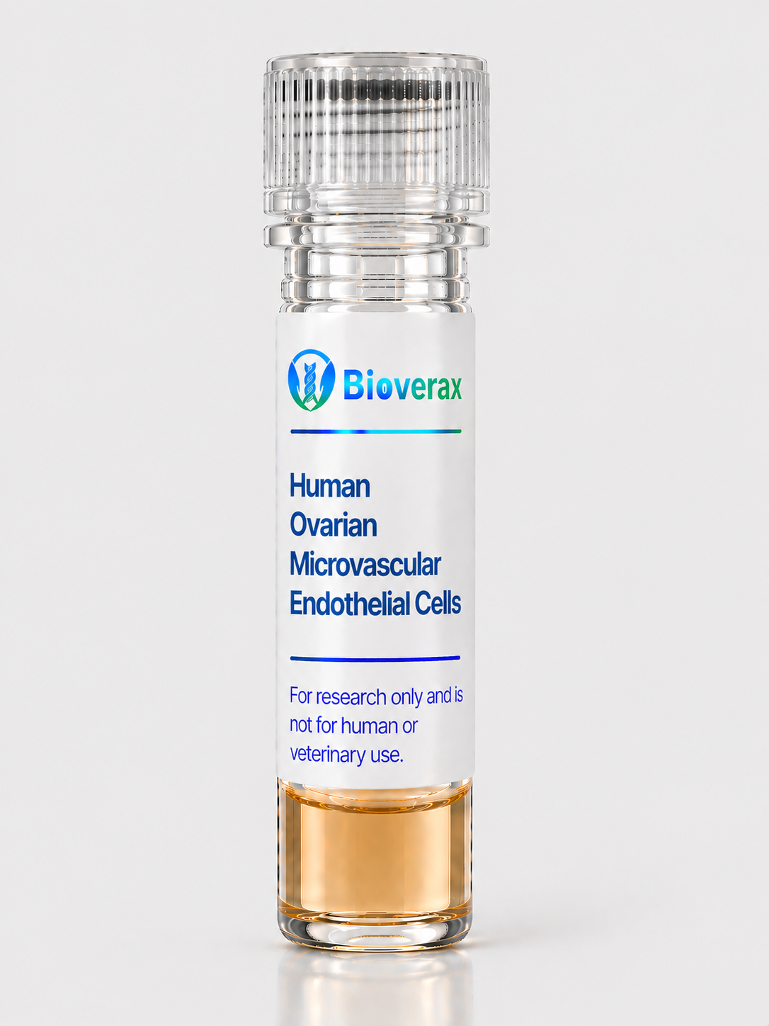 Human Ovarian Microvascular Endothelial Cells