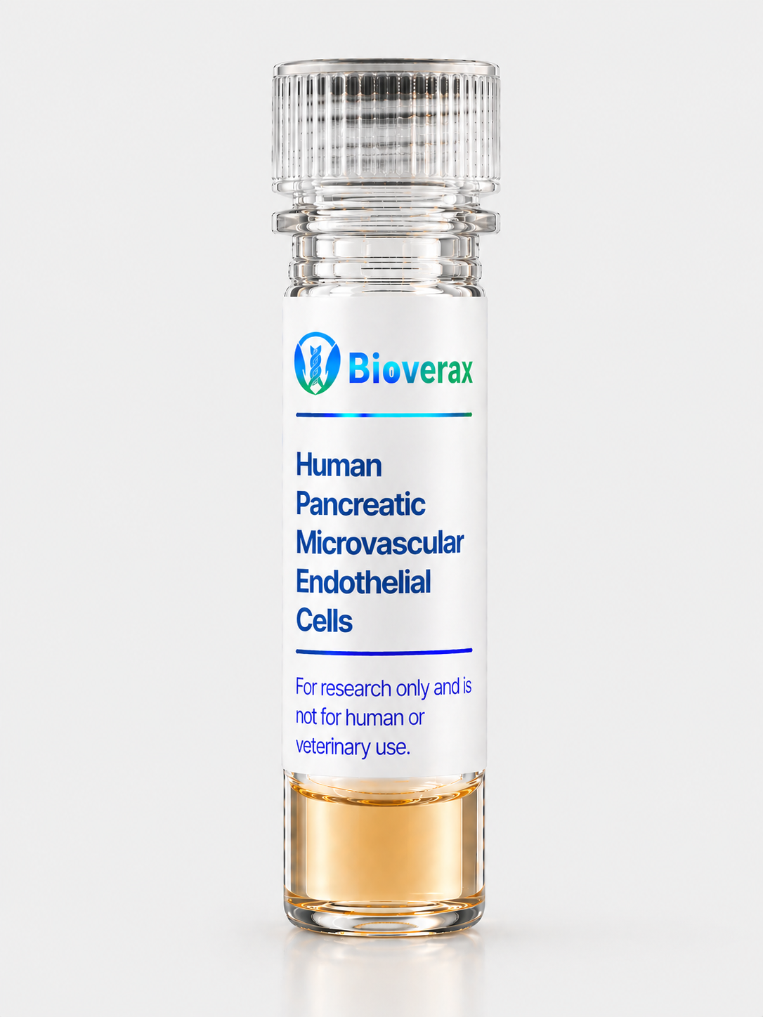 Human Pancreatic Microvascular Endothelial Cells
