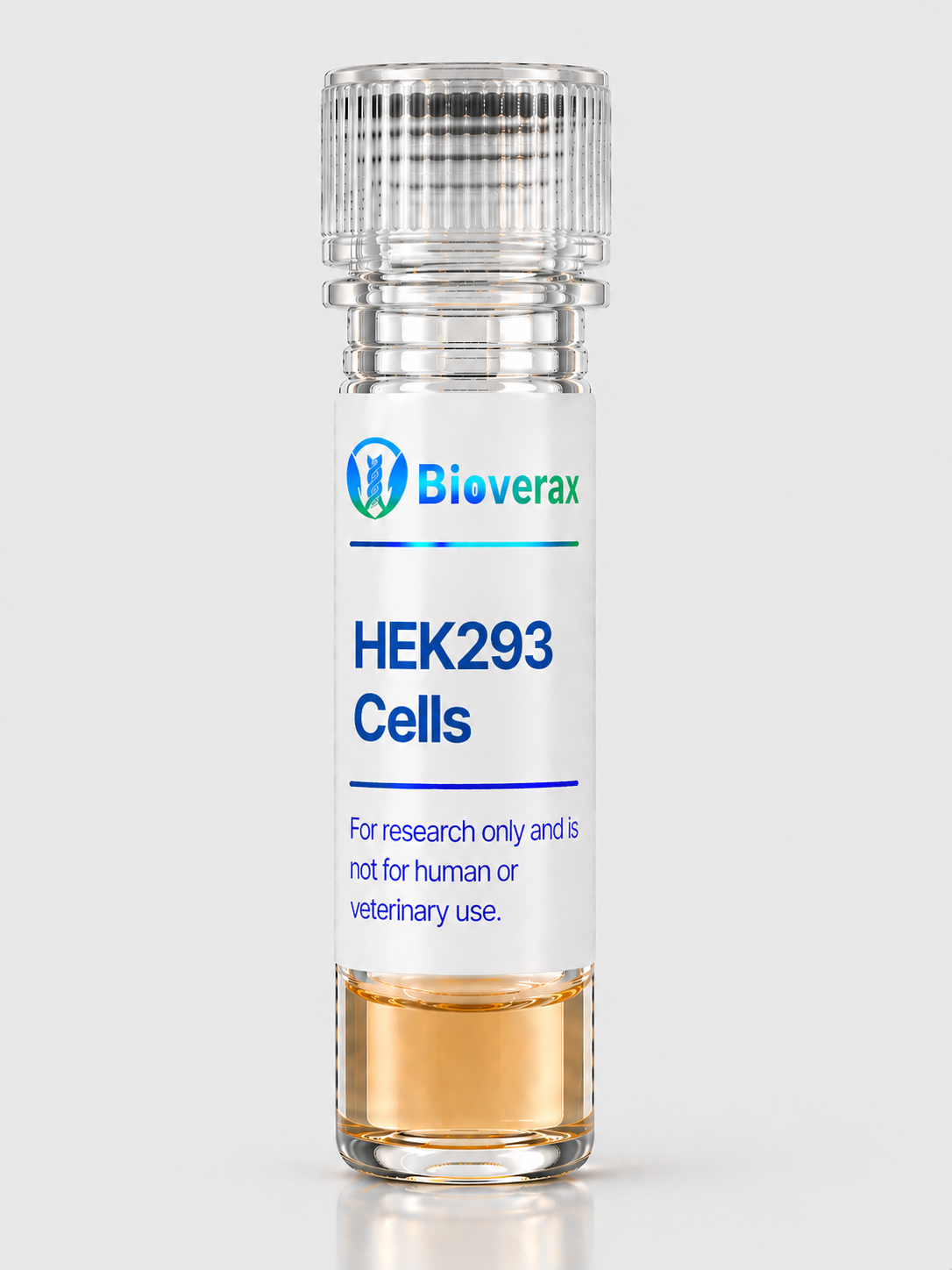 HEK293 Cells