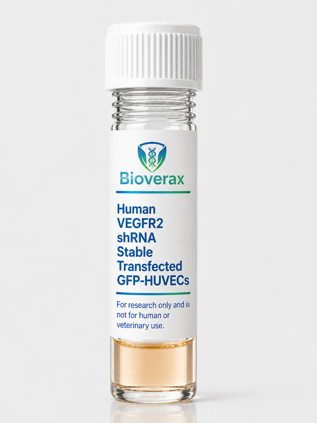 Human VEGFR2 shRNA Stable Transfected GFP-HUVECs