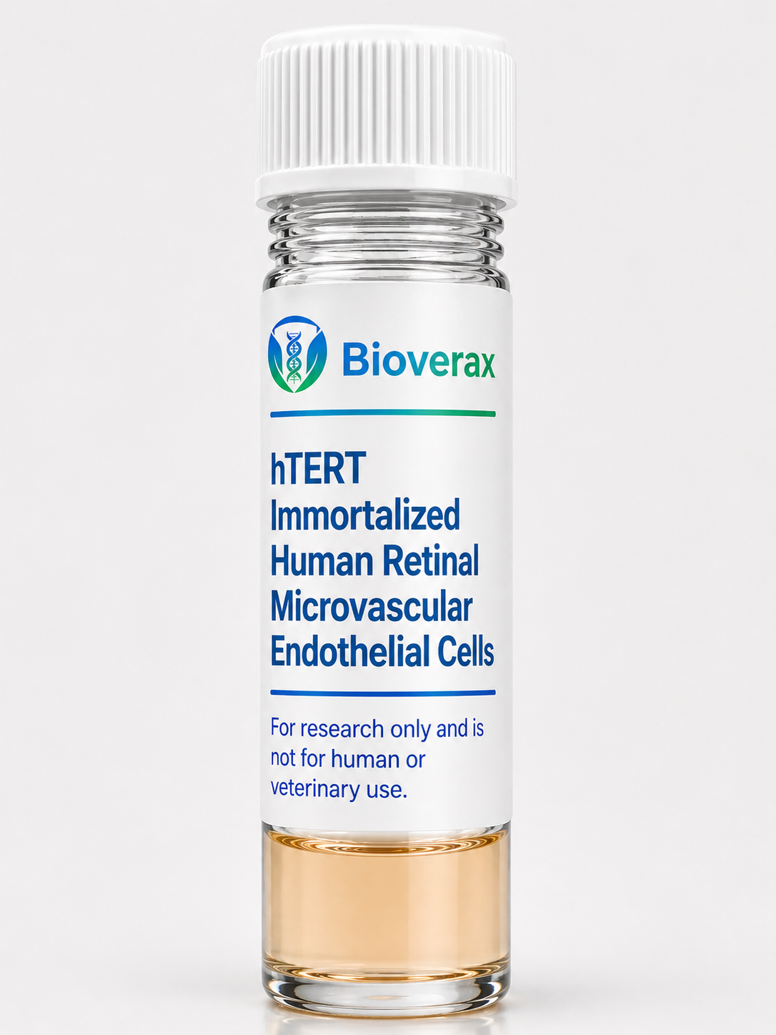 hTert Immortalized Human Retinal Microvascular Endothelial Cells