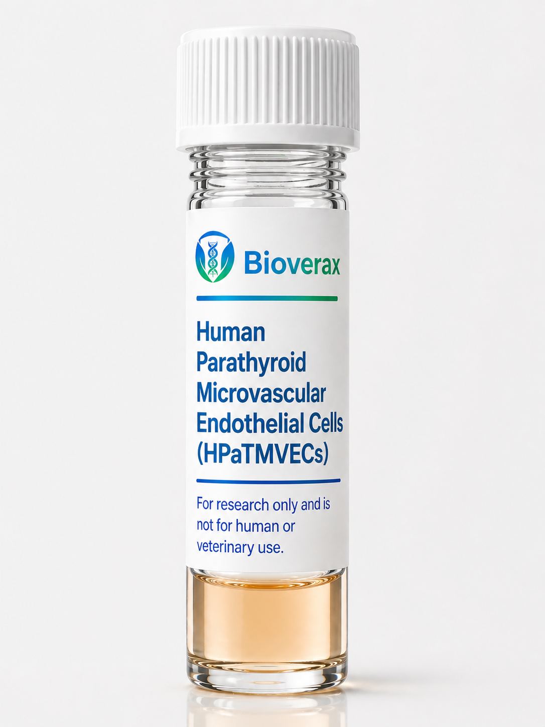 Human Parathyroid Microvascular Endothelial Cells (HPaTMVECs)