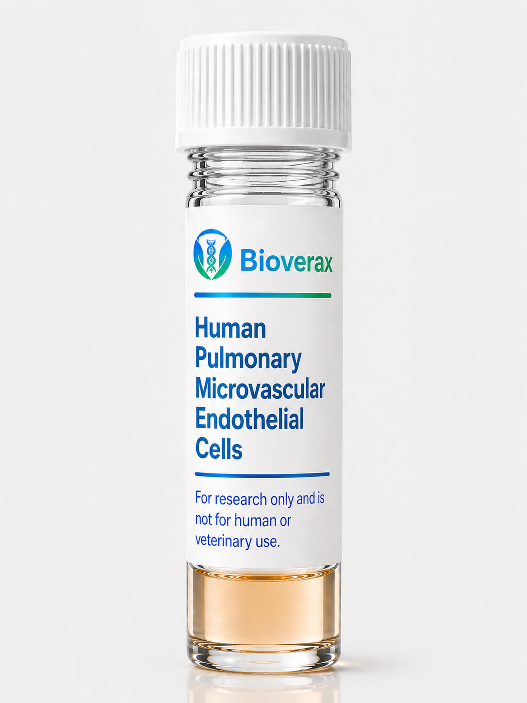 Human Pulmonary Microvascular Endothelial Cells