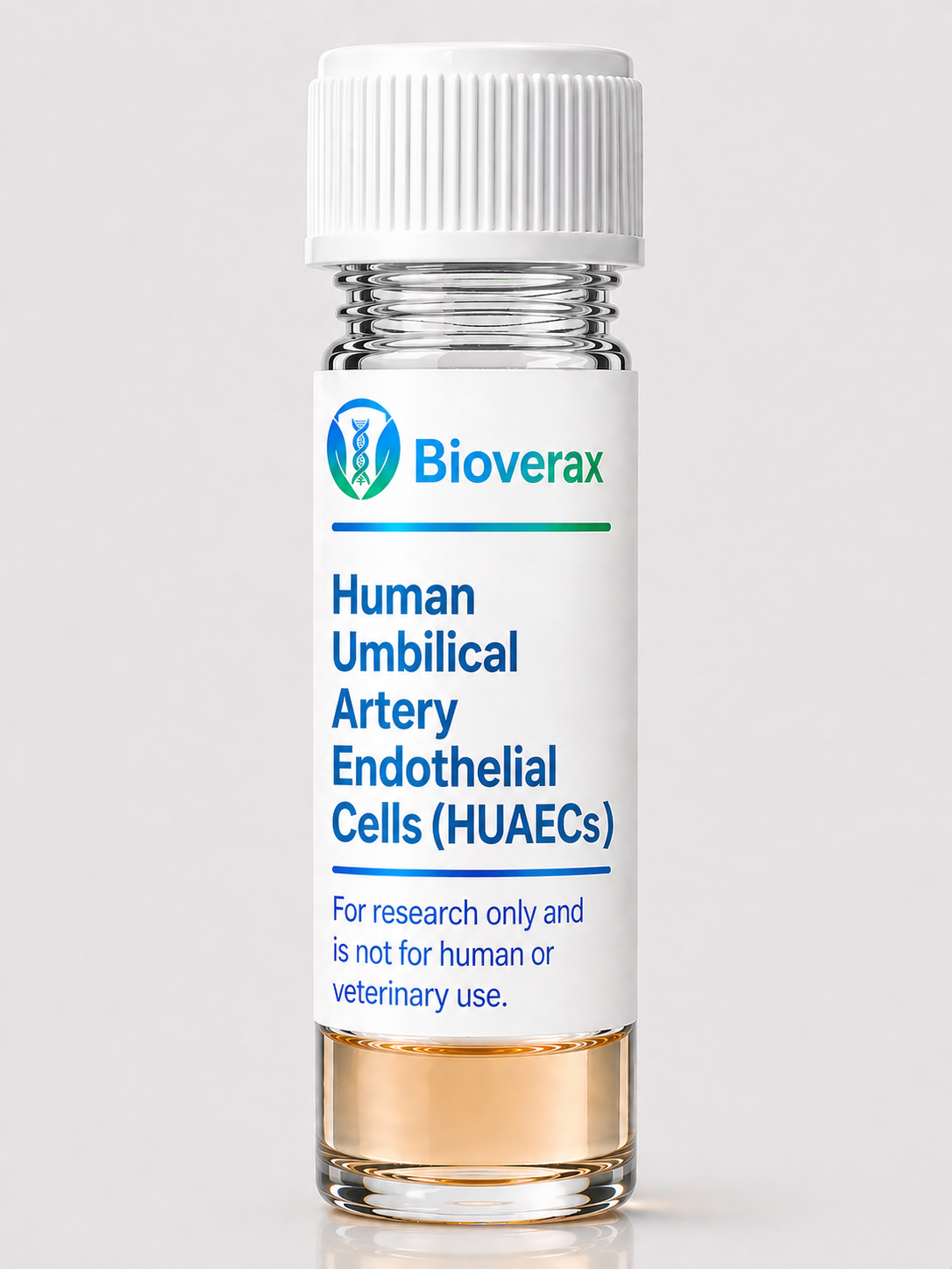 Human Umbilical Artery Endothelial Cells (HUAECs)