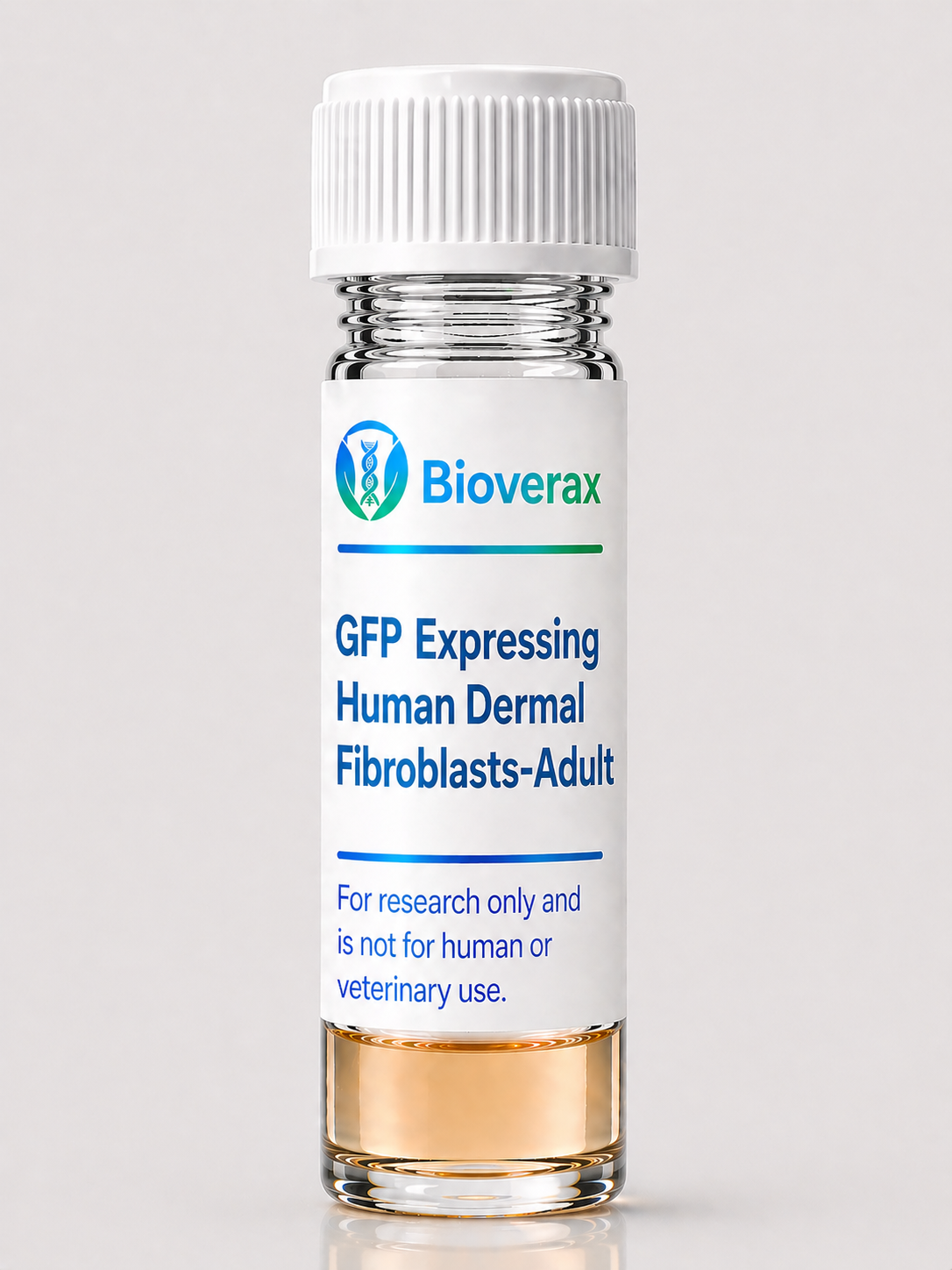 GFP Expressing Human Dermal Fibroblasts-Adult