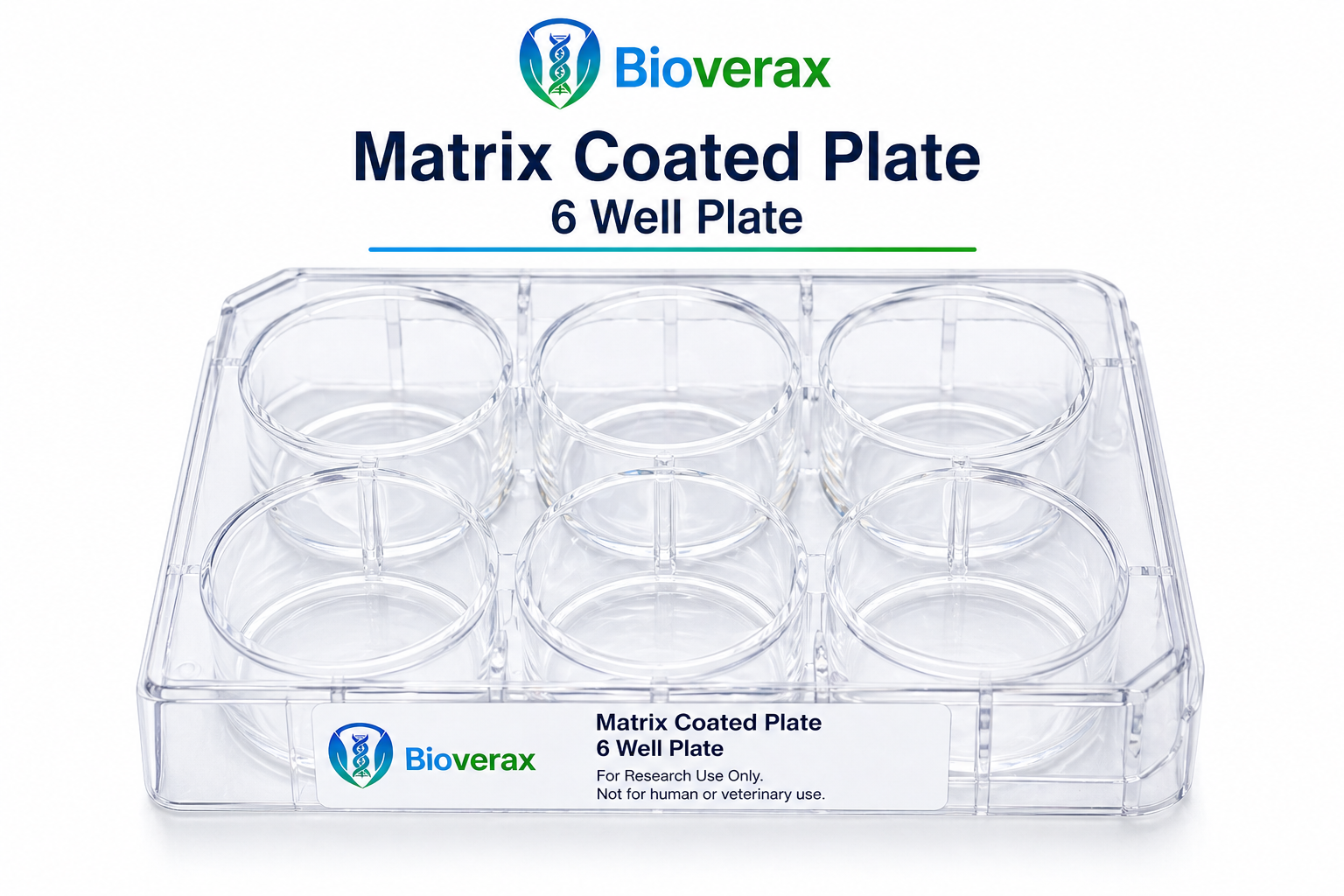 Matrix Coated Plate 6 Well