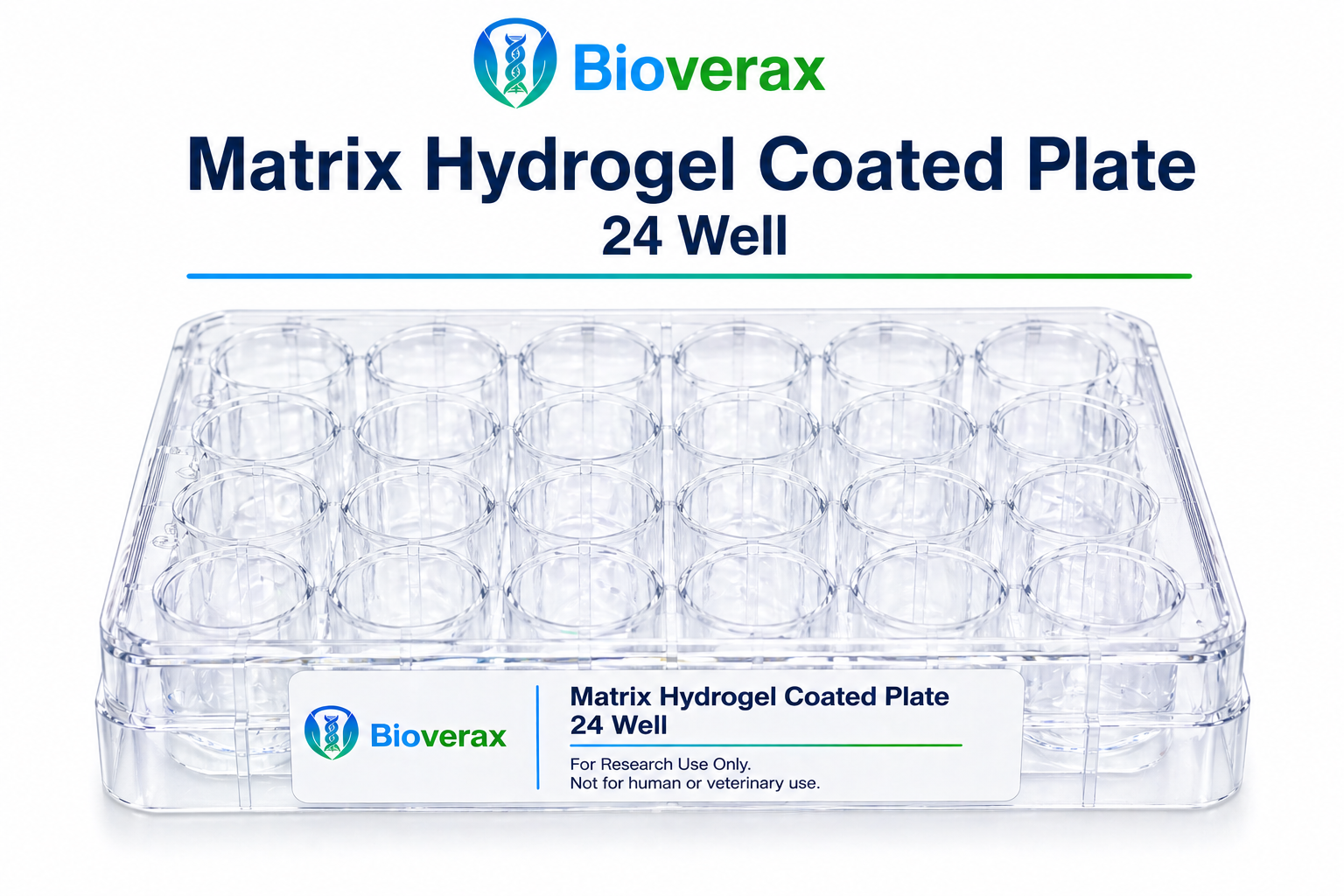 Matrix Hydrogel Coated Plate 24 Well
