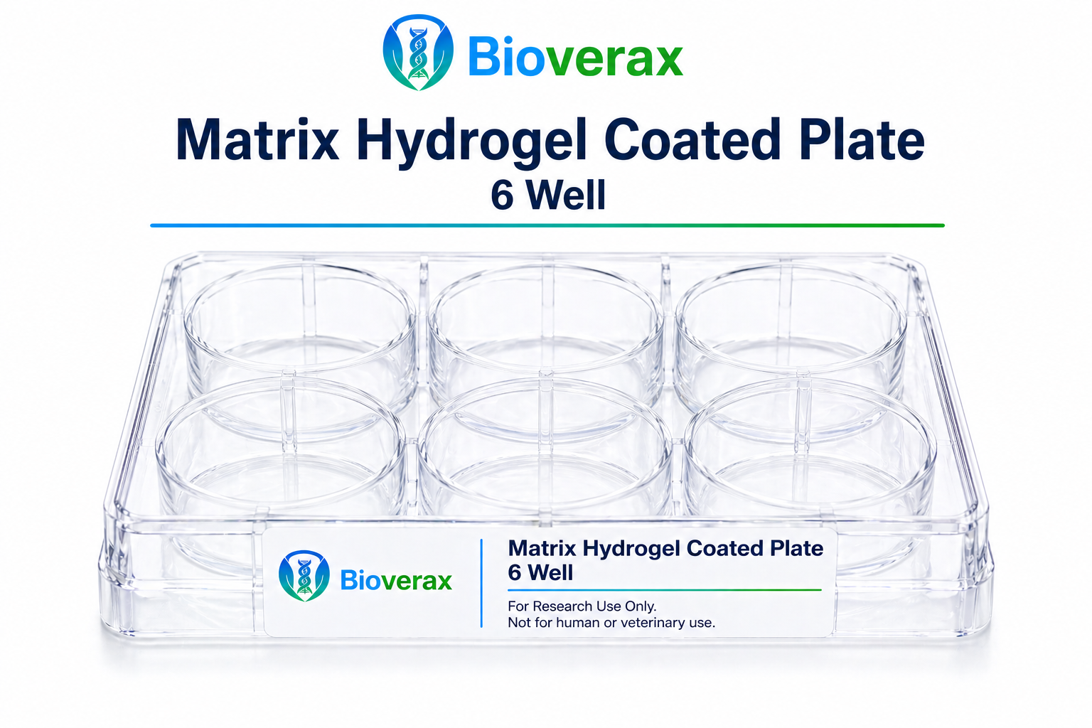 Matrix Hydrogel Coated Plate 6 Well