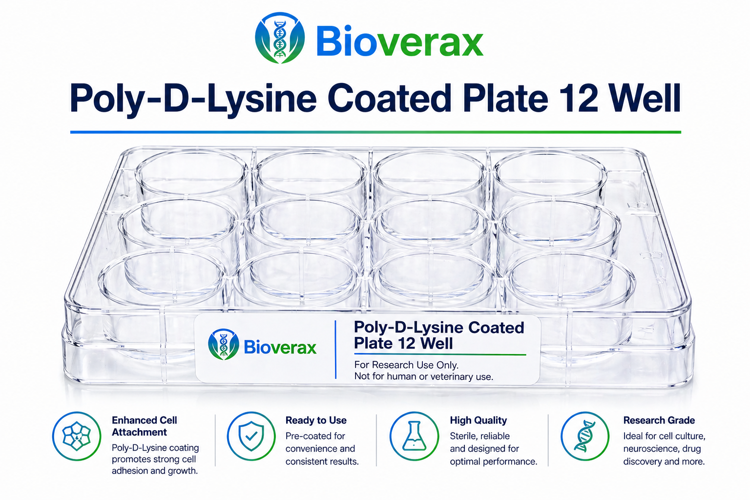 Poly-D-Lysine Coated plate 12 Well