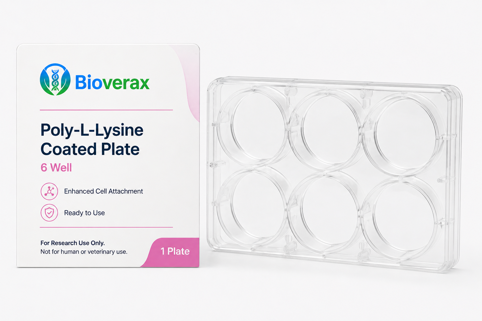 Poly-L-Lysine Coated plate 6 Well