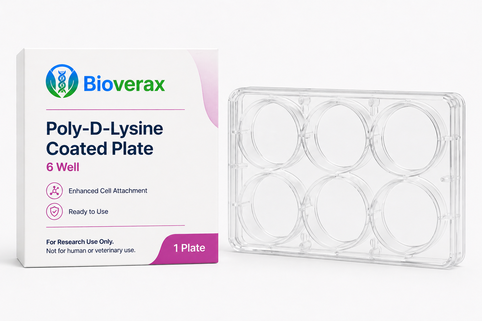 Poly-D-Lysine Coated plate 6 Well