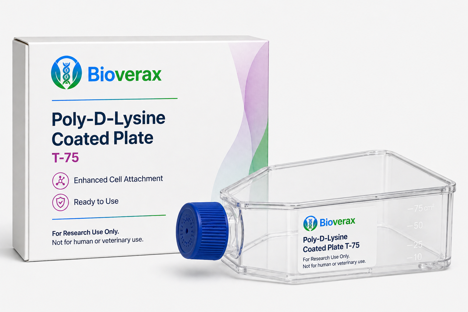Poly-D-Lysine Coated plate T-75
