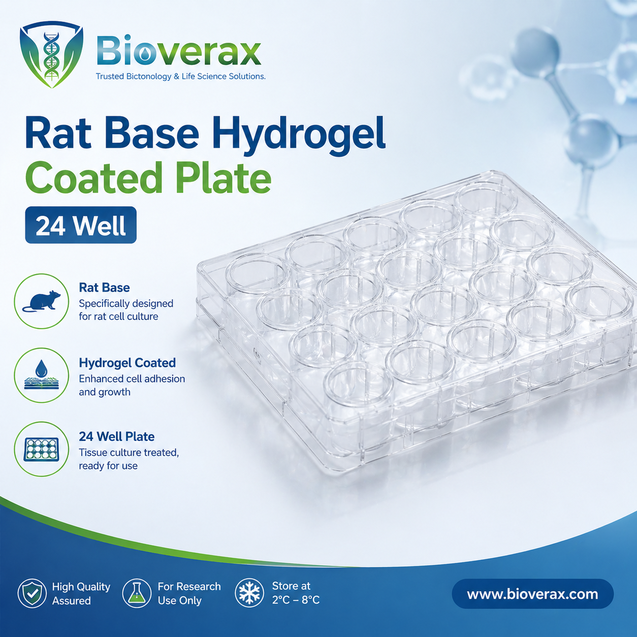 Rat Base Hydrogel Coated Plate 24 Well