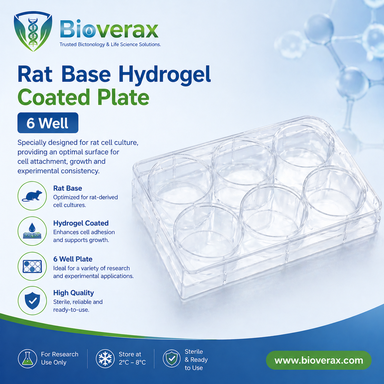 Rat Base Hydrogel Coated Plate 6 Well