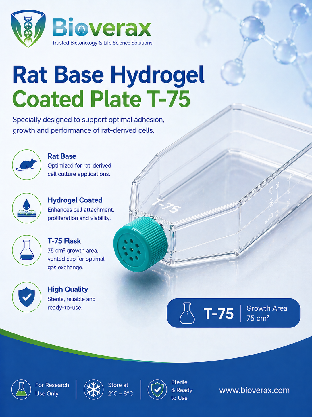 Rat Base Hydrogel Coated Plate T-75