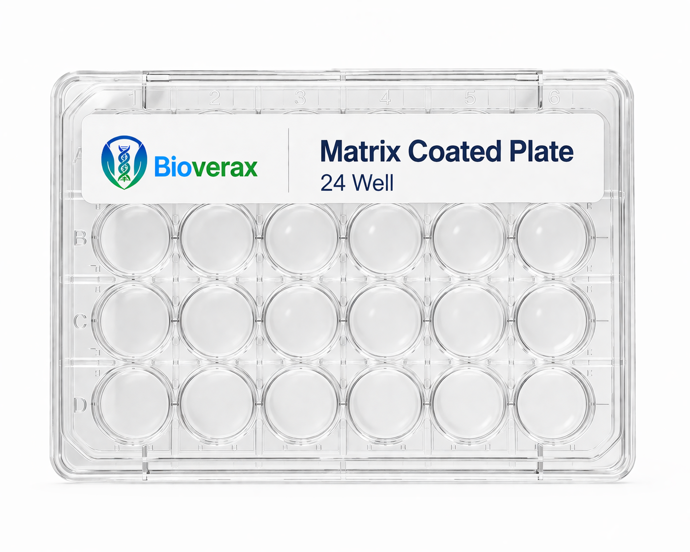 Matrix Coated Plate 24 Well Bioverax