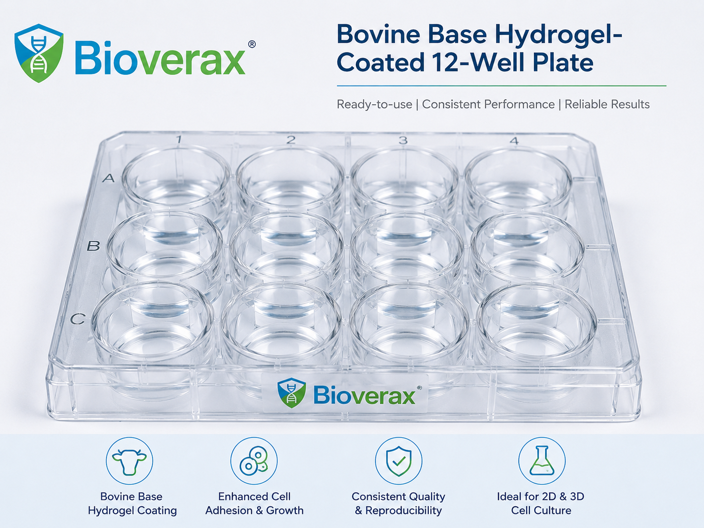 Bovine base hydrogel-coated 12-well plate