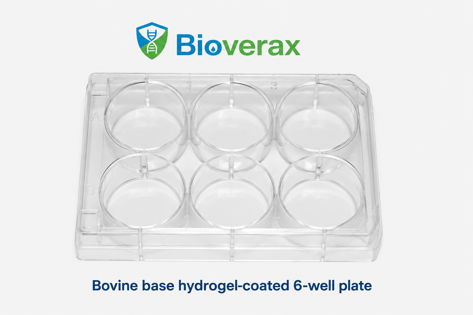 Bovine Base Hydrogel Coated Plate 6 Well Plate