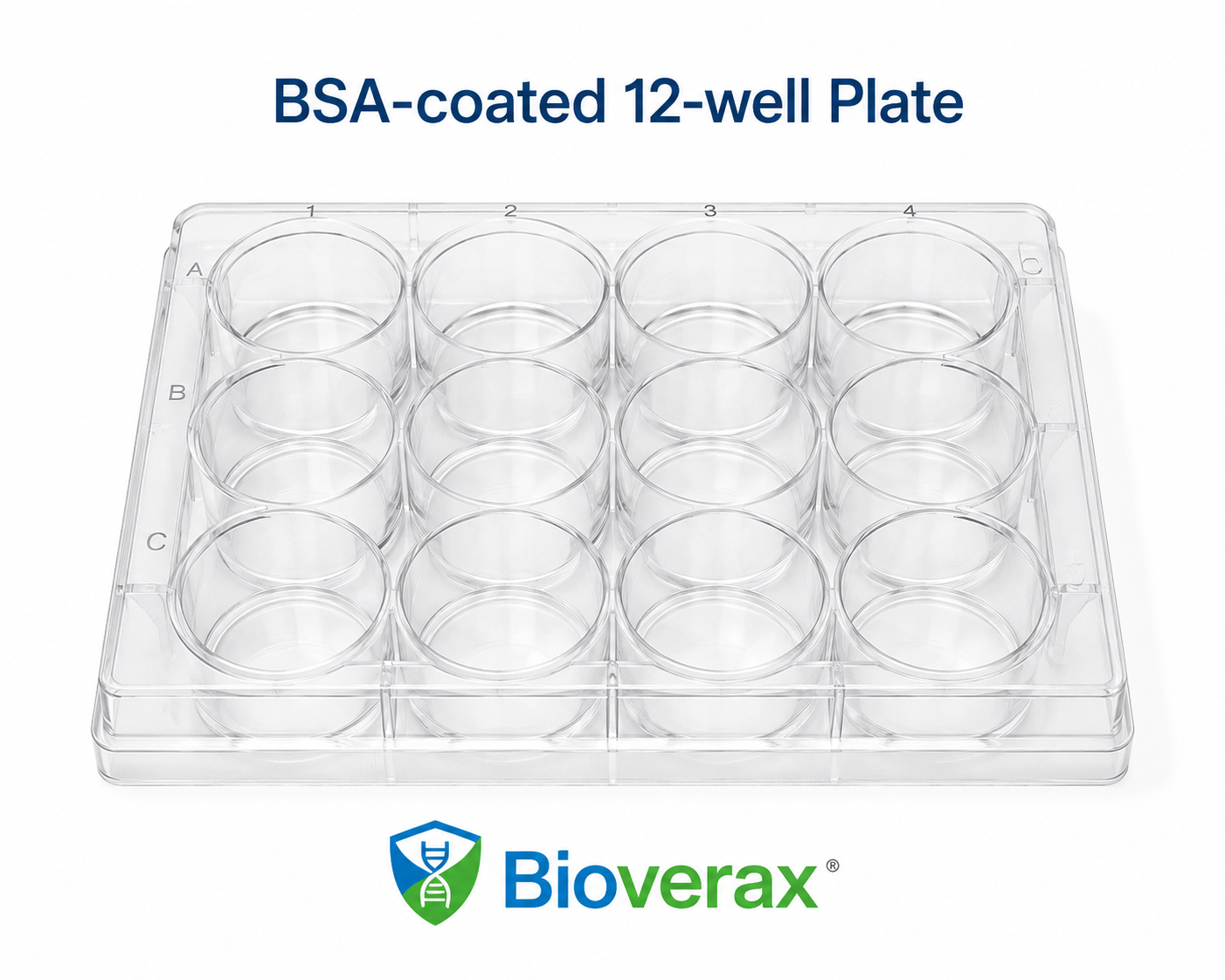 BSA Coated Plate 12 Well