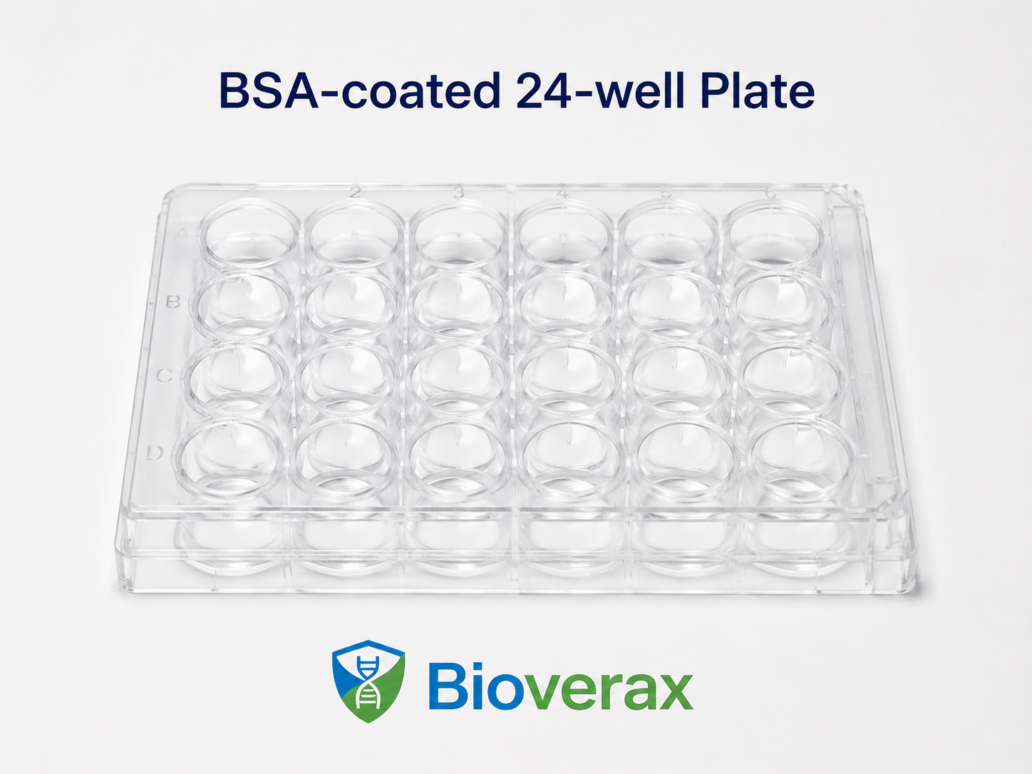 BSA Coated Plate 24 Well