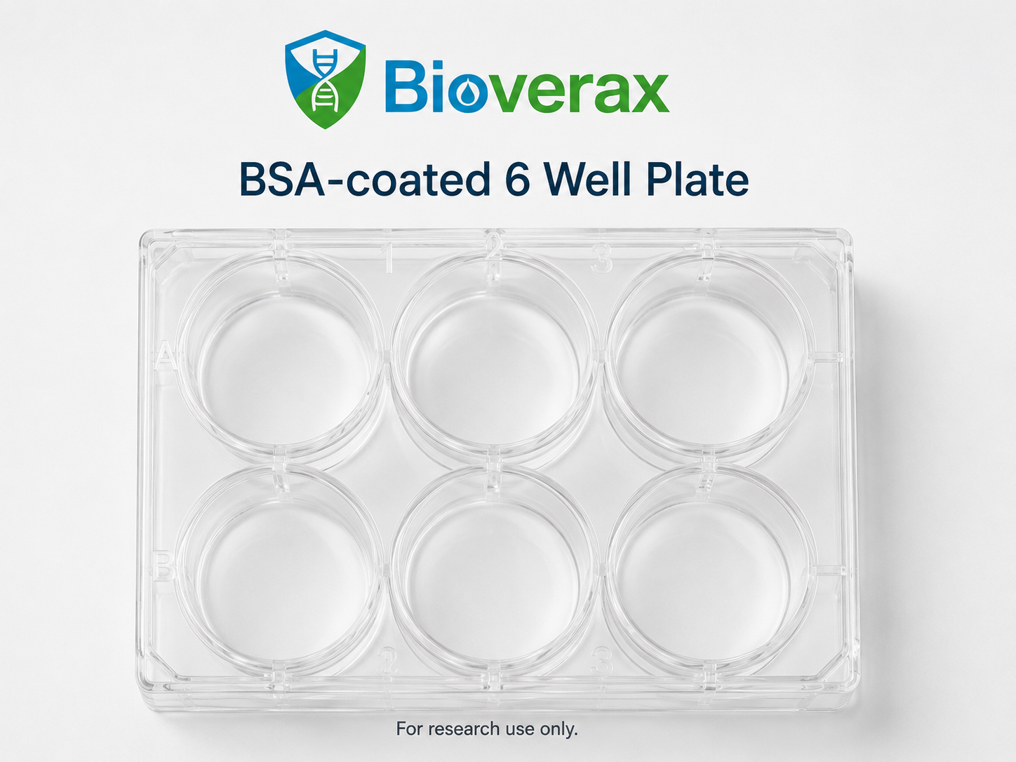 BSA Coated Plate 6 Well