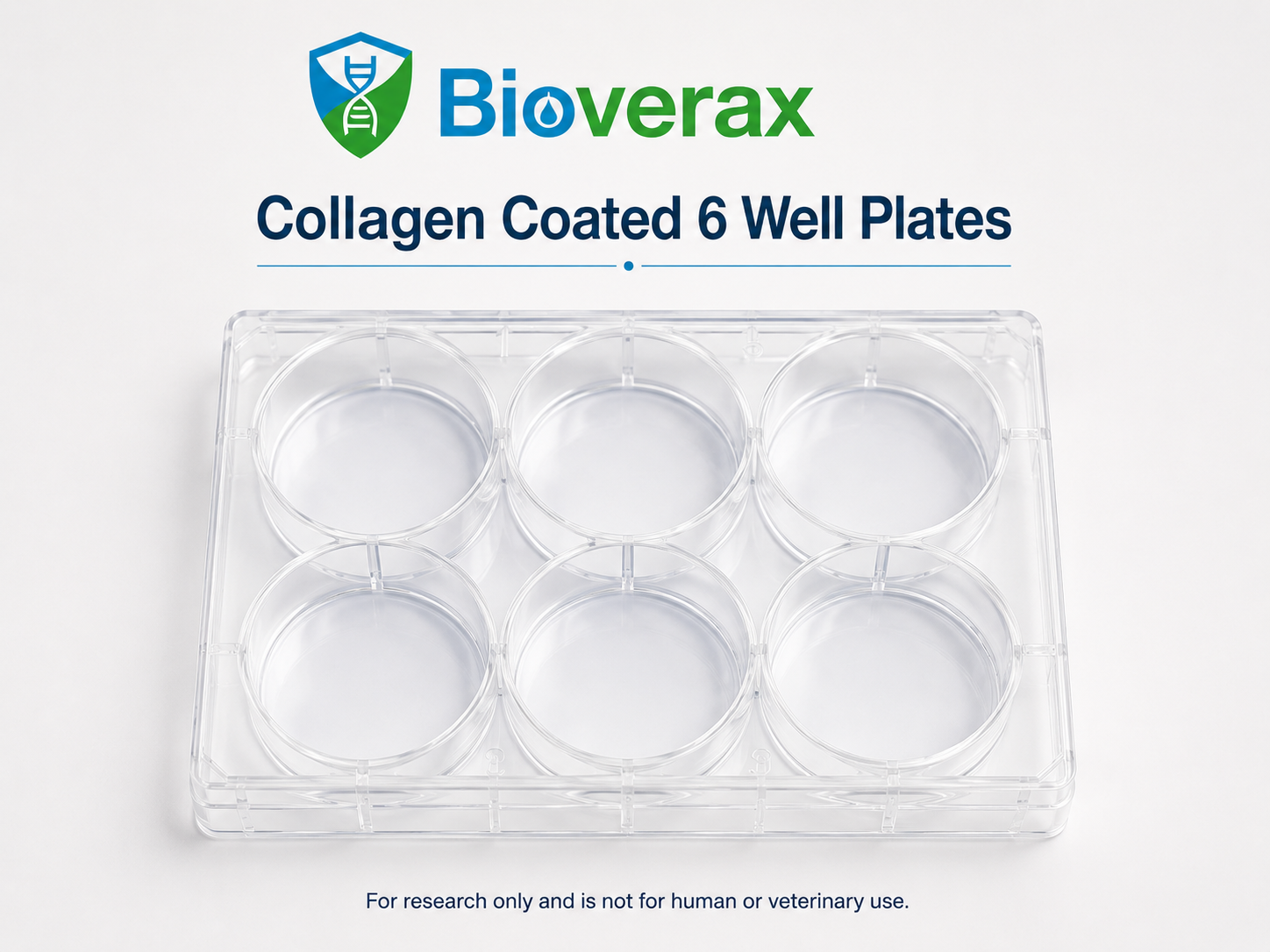 Collagen coated 6 well plates