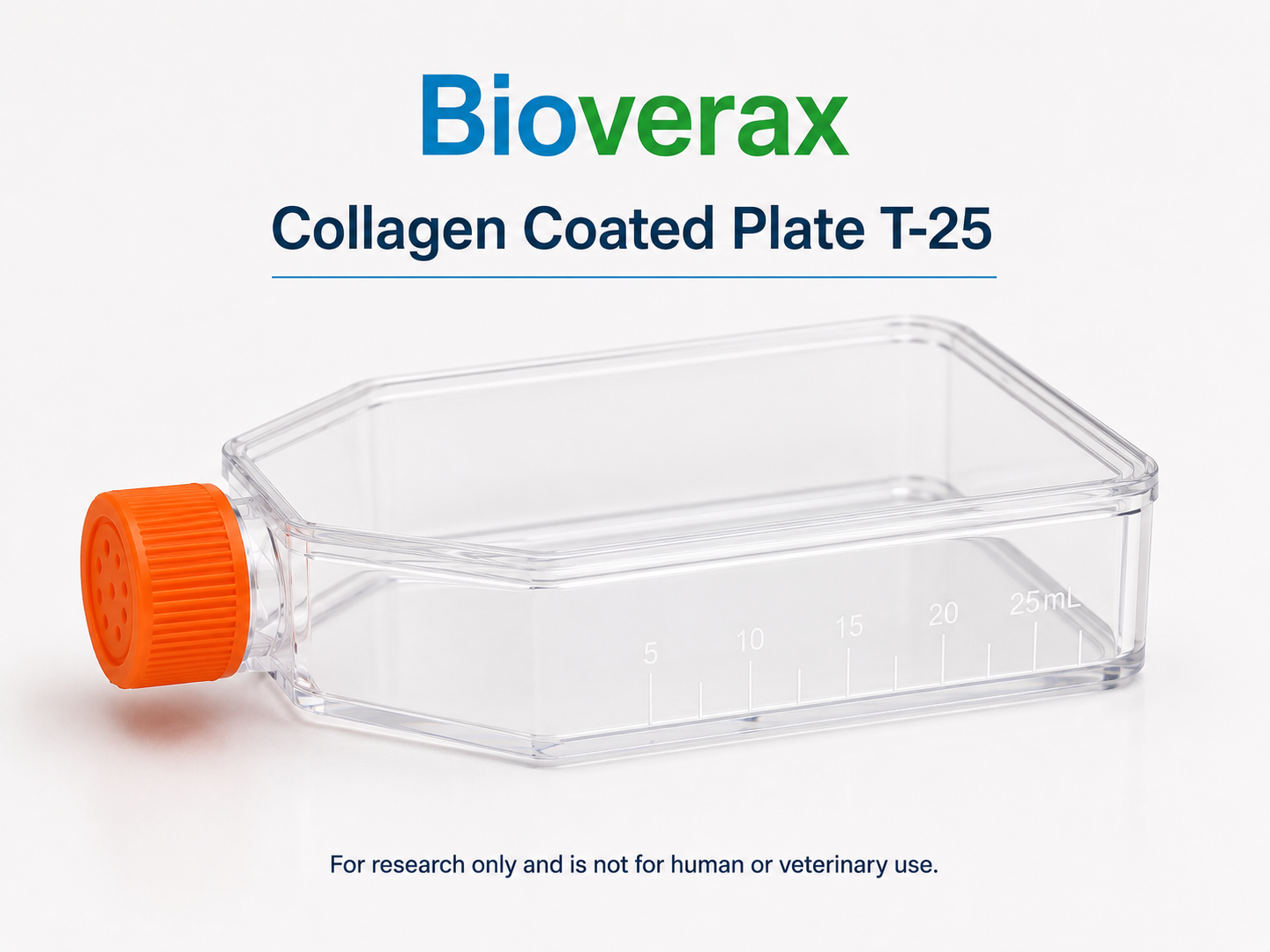 Collagen Coated Plate T-25