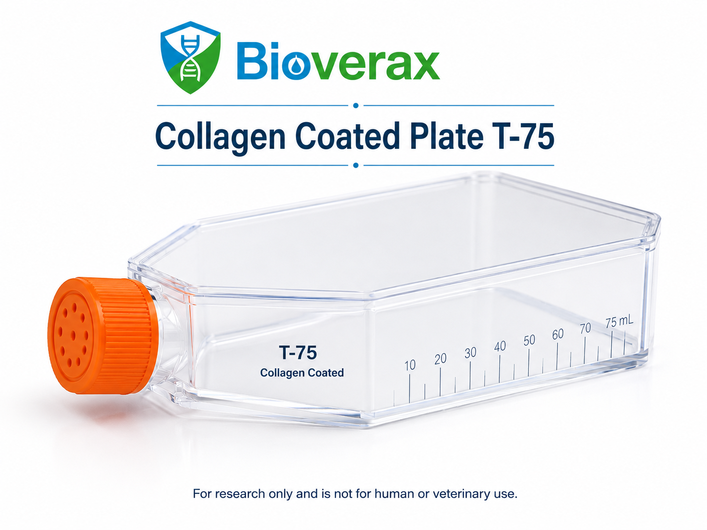 Collagen Coated Plate T-75