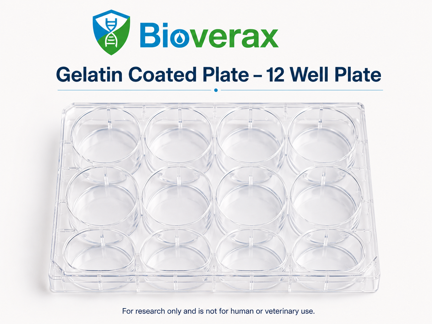 Gelatin Coated Plate 12 Well