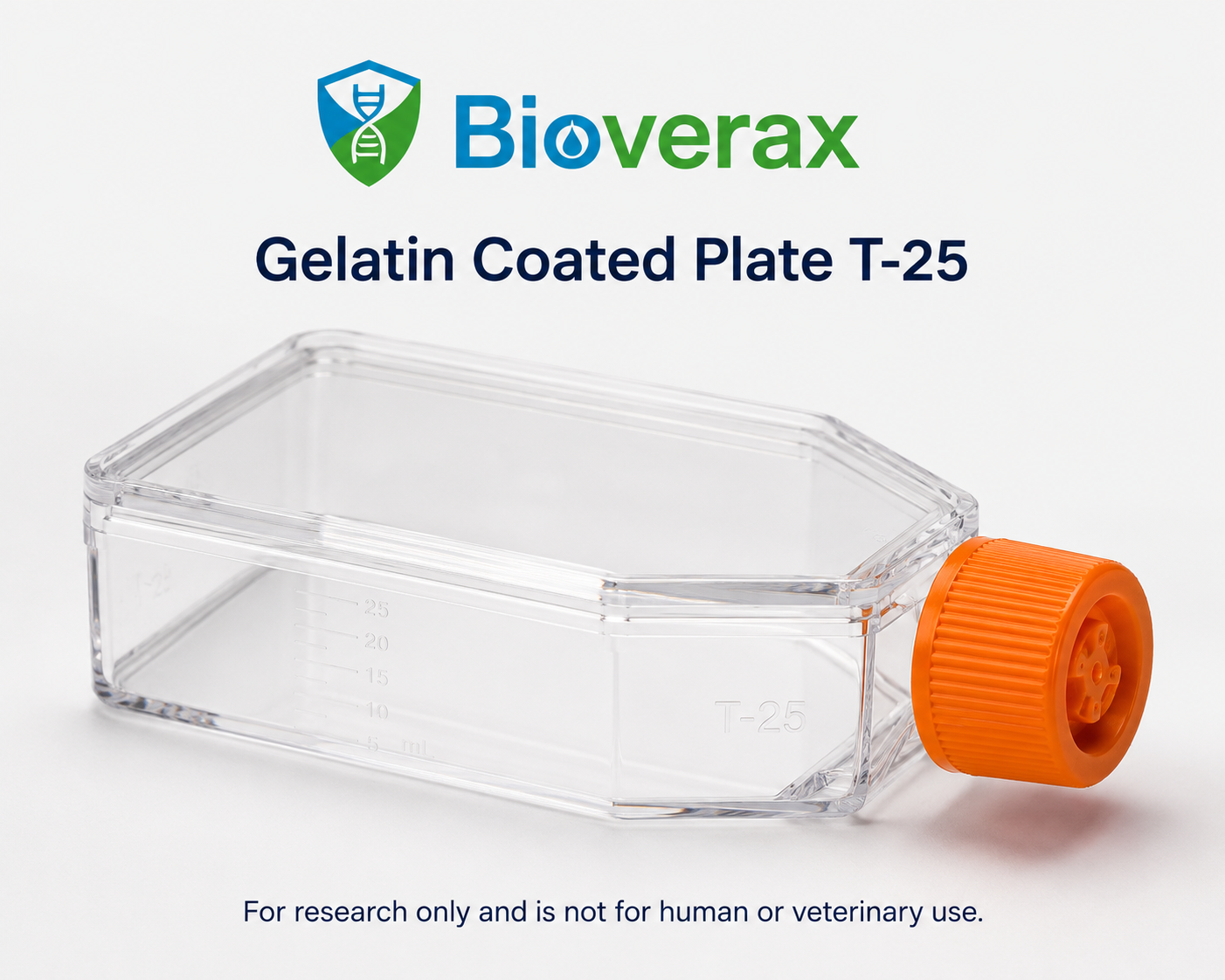Gelatin Coated Plate T-25