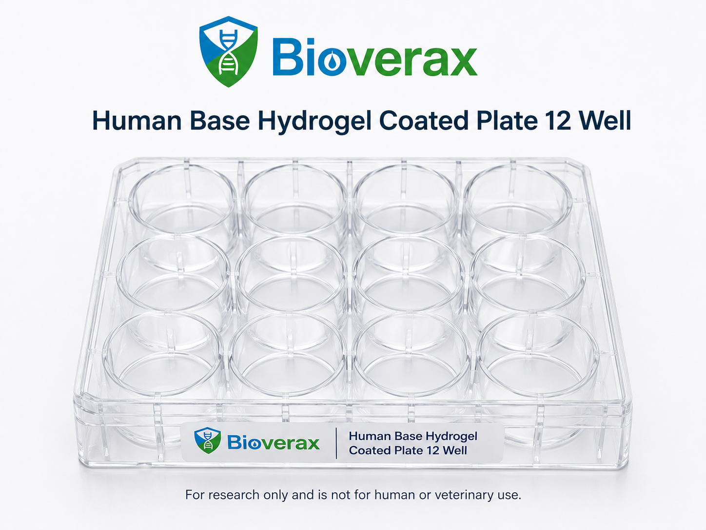 Human Base Hydrogel Coated Plate 12 Well