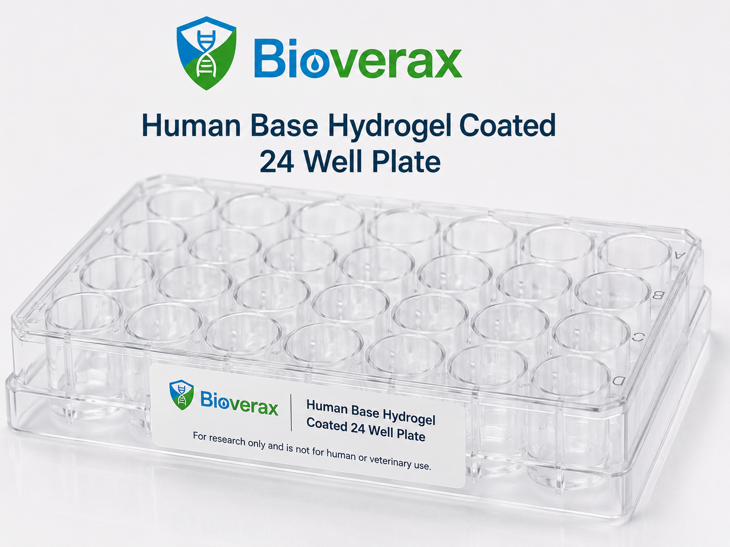 Human Base Hydrogel Coated plate 24 Well Plate