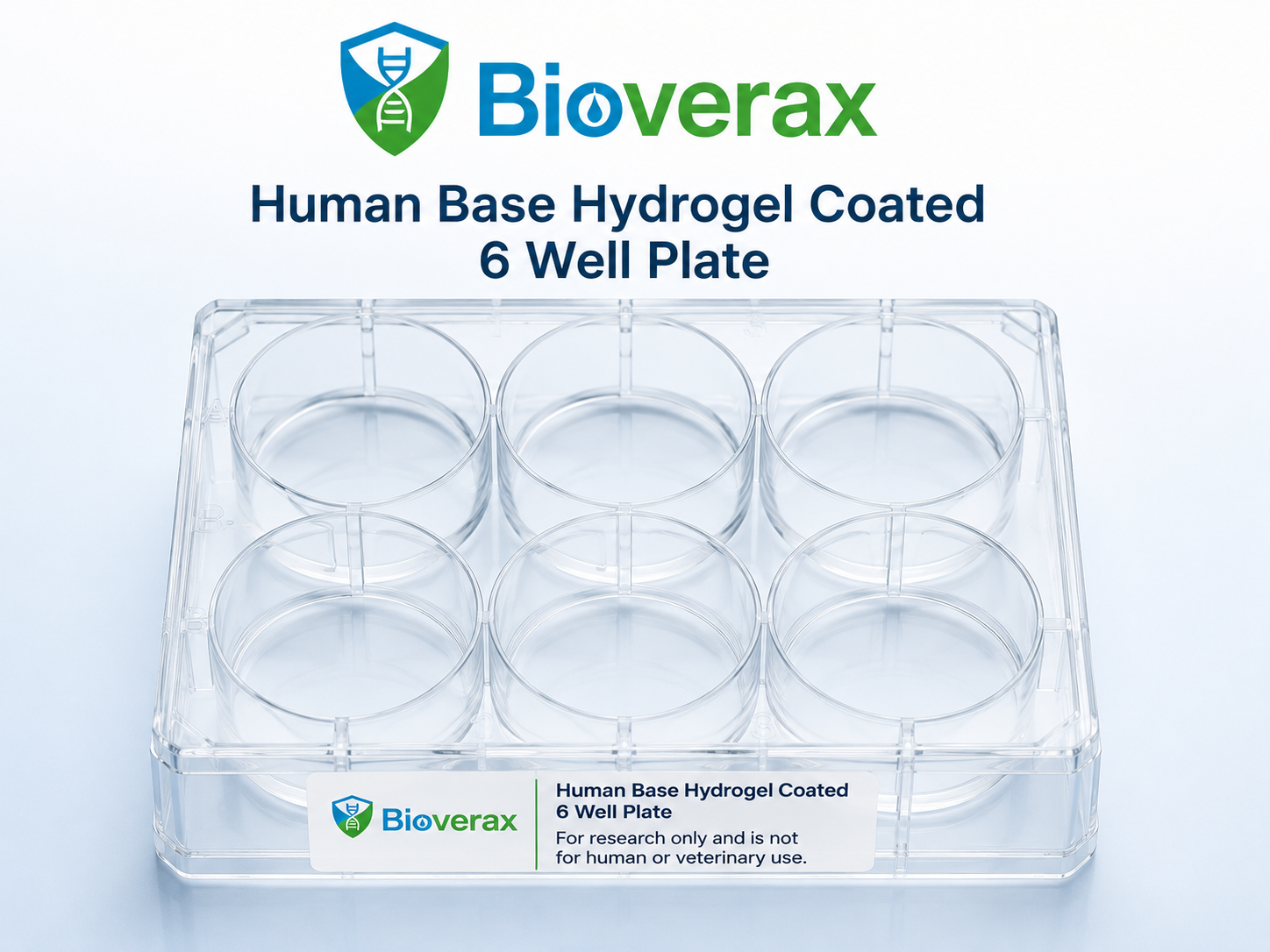 Human base hydrogel-coated 6-well plates