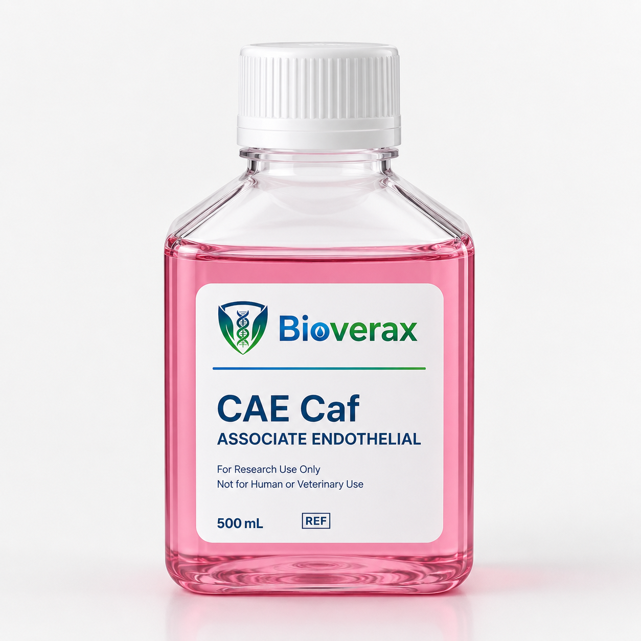 CAE Coating Solution