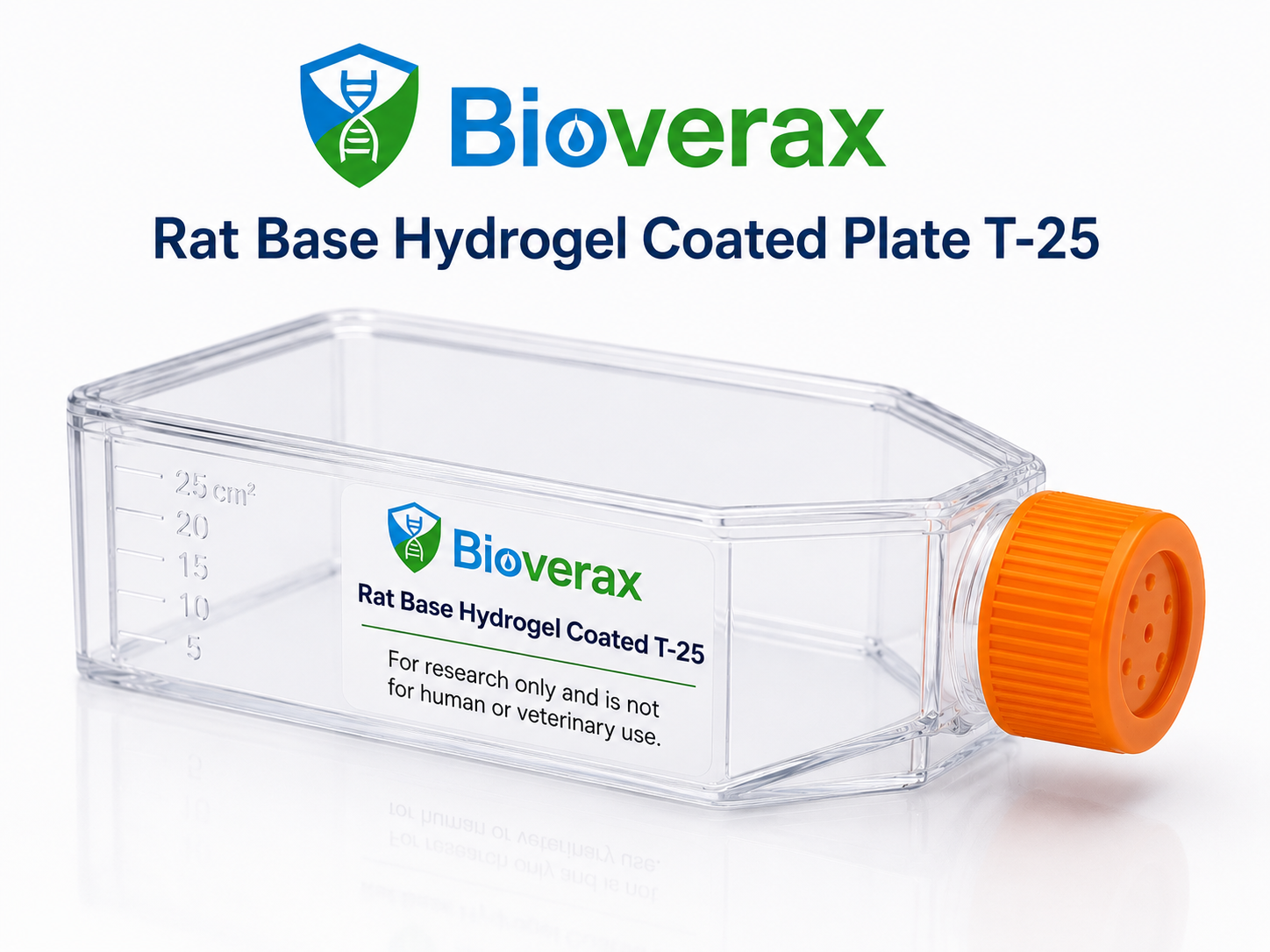 Rat Base Hydrogel Coated Plate T-25