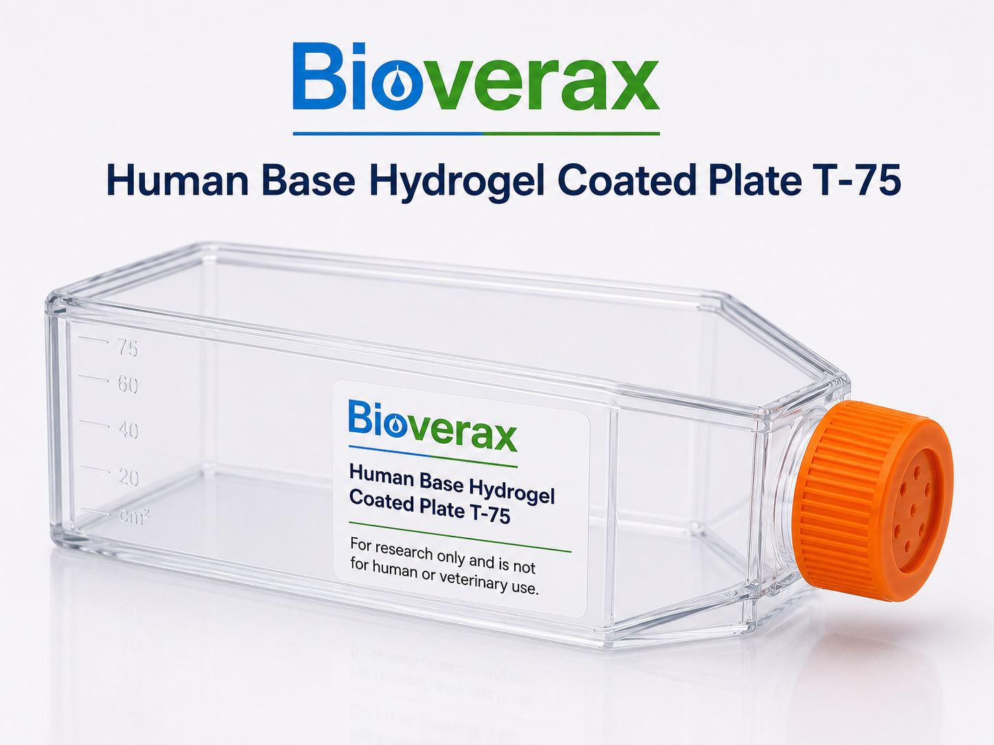 Human Base Hydrogel Coated Plate T-75