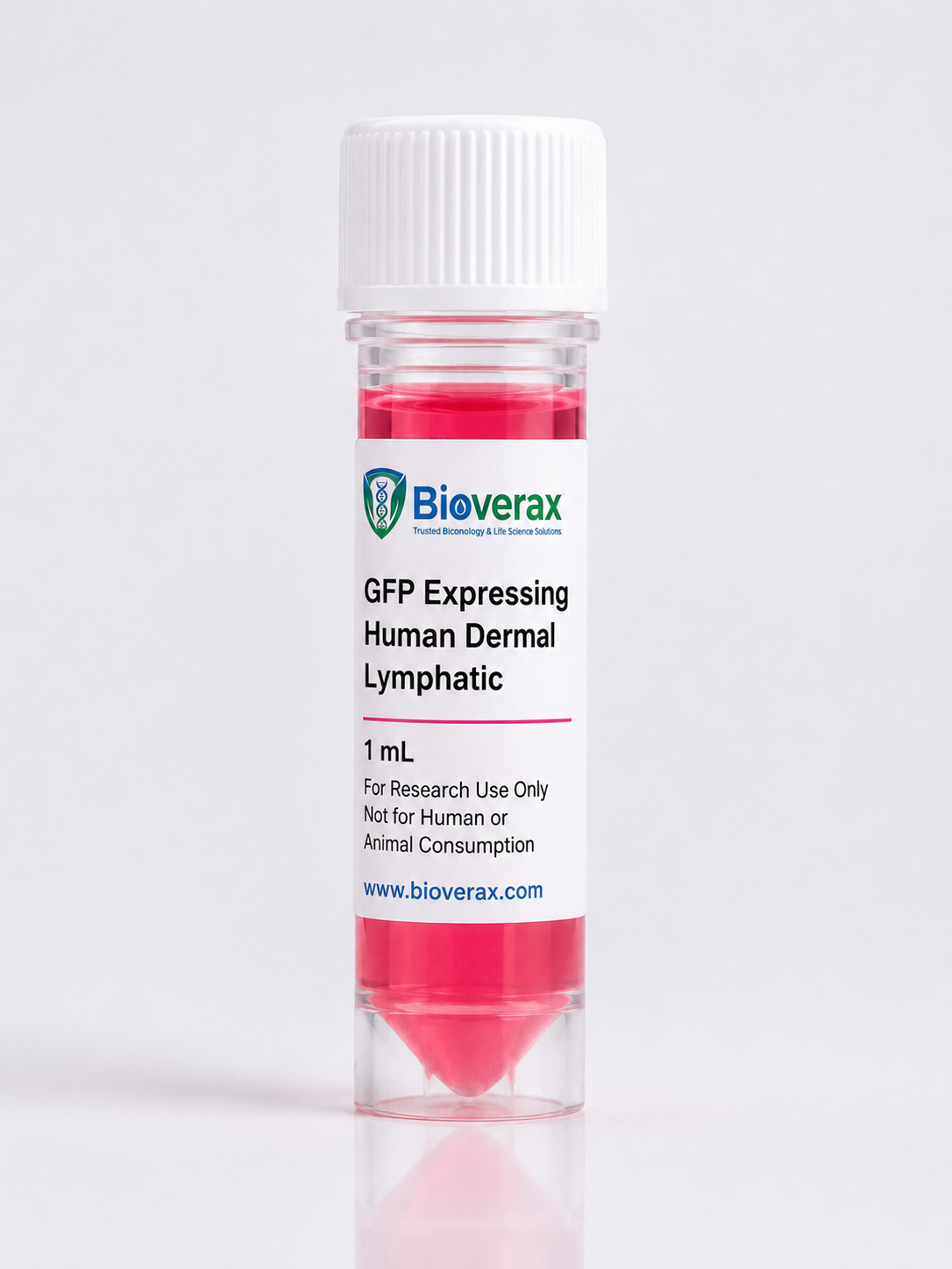 GFP Expressing Human Dermal Lymphatic Microvascular Endothelial Cells