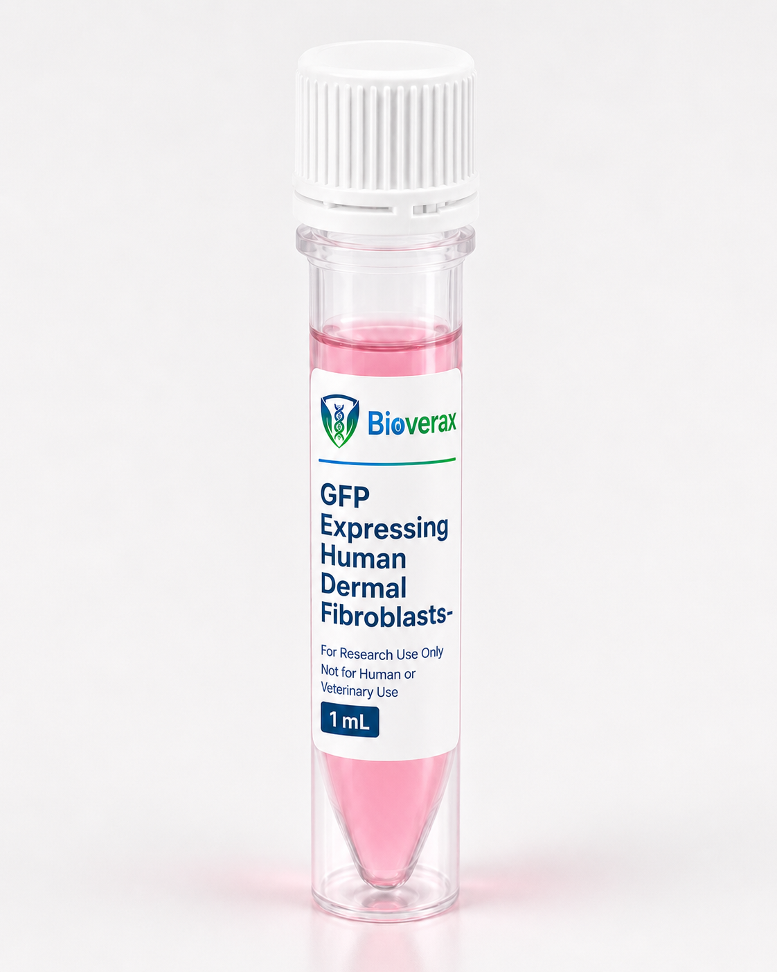 GFP Expressing Human Dermal Fibroblasts-neonatal