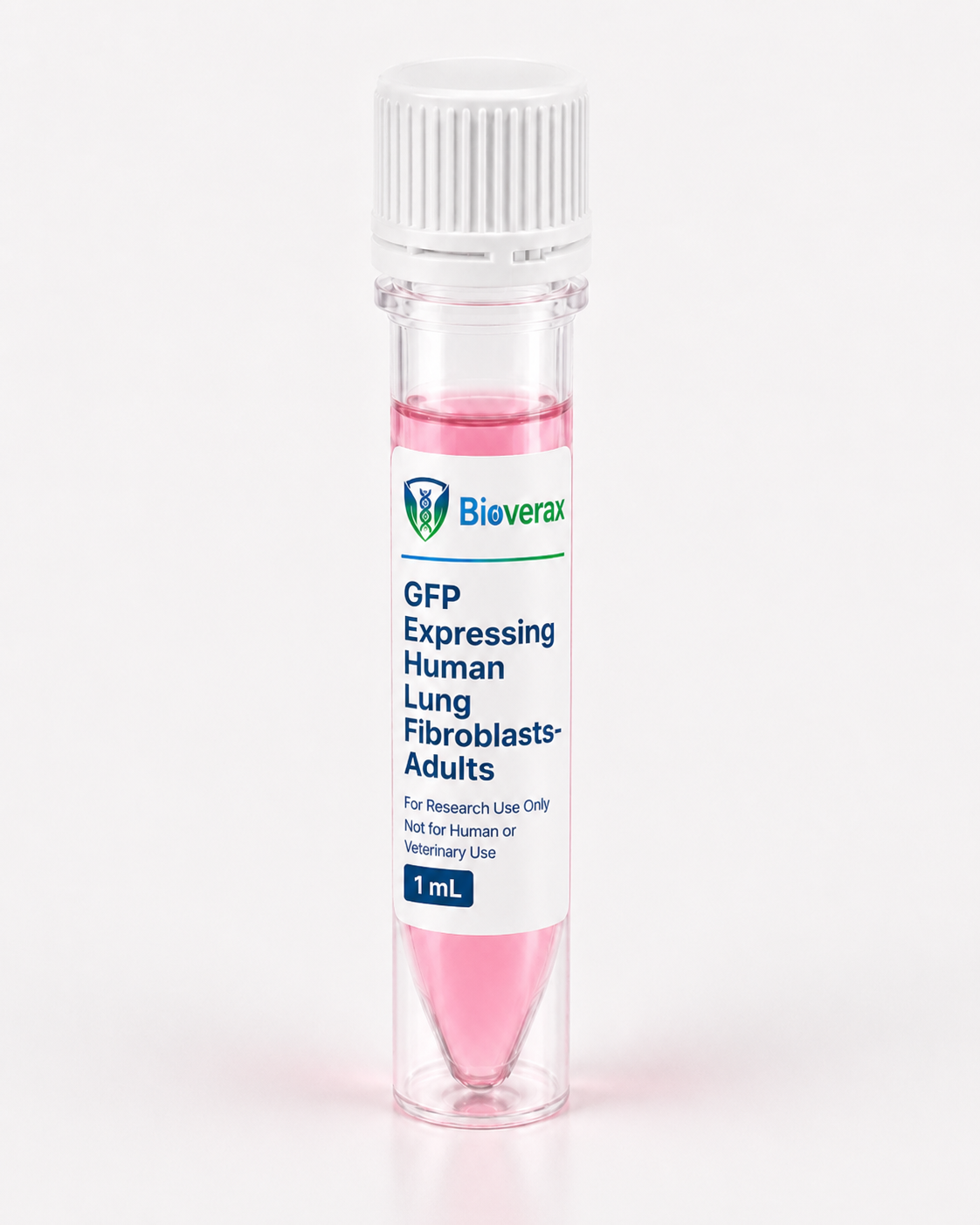 GFP Expressing Human Lung Fibroblasts-Adults (GFP-HLFCs-ad)