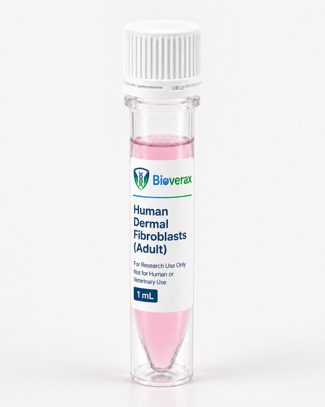 Human Dermal Fibroblasts (Adult)