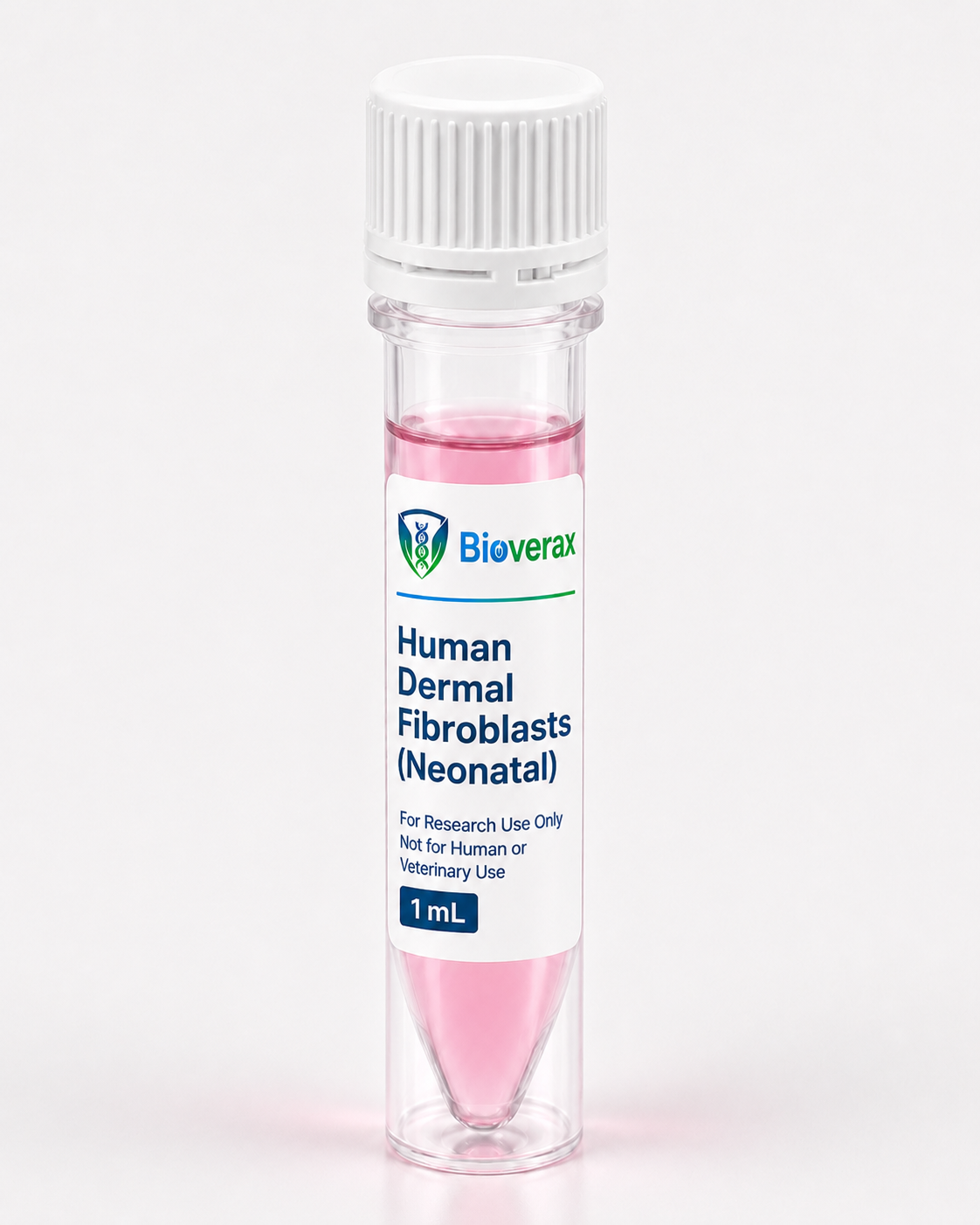 Human Dermal Fibroblasts (Neonatal)