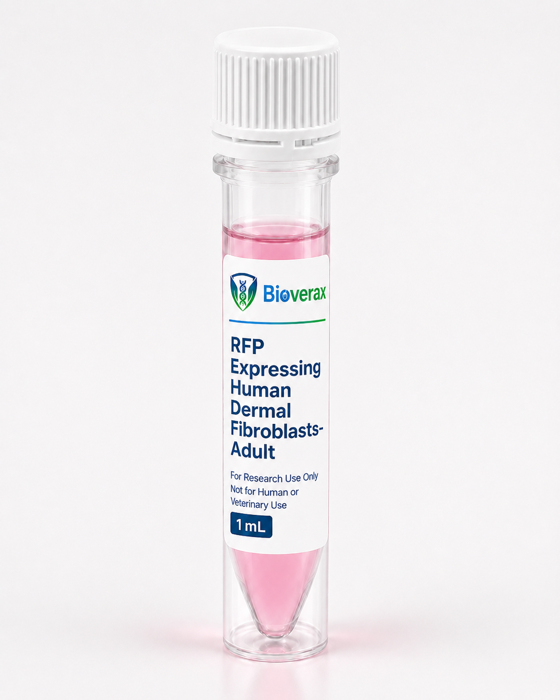 RFP Expressing Human Dermal Fibroblasts-Adult