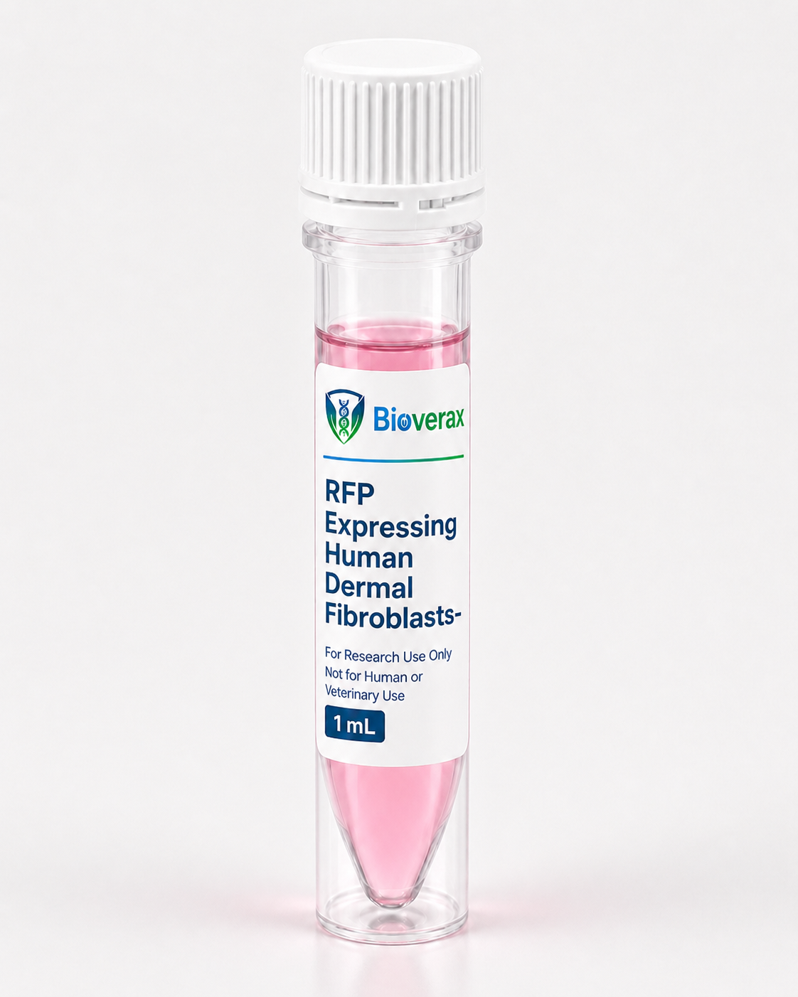 RFP Expressing Human Dermal Fibroblasts-neonatal