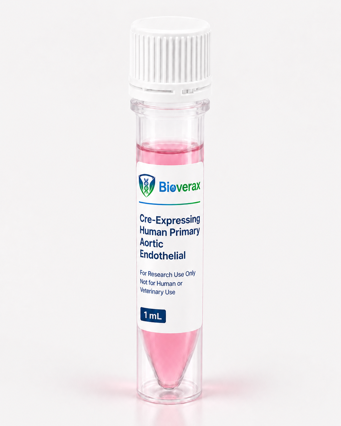 Cre-Expressing Human Primary Aortic Endothelial Cells